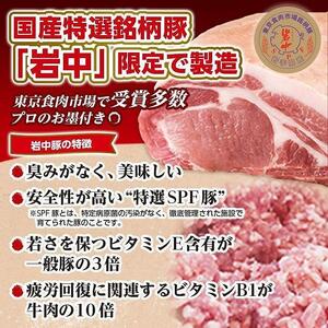 全て国産食材、銘柄豚使用！肉汁あふれる！【横浜大宝餃子】もちもち国産ジャンボ大宝餃子60個（30個×2）老舗餃子メーカー 横浜中華 焼餃子 冷凍餃子 ギョーザ ぎょうざ 大きい 中華 おかず 惣菜 ギフト プレゼント