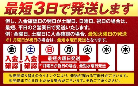 キリンビール キリン一番搾り生ビール 350ml 2ケース(48本入)【横浜工場製】