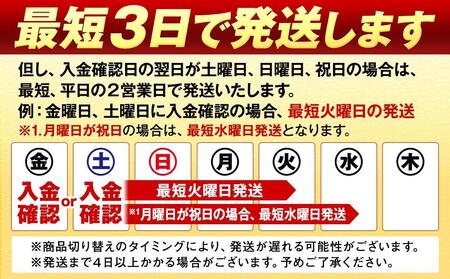キリンビール キリン一番搾り生ビール　500ml 2ケース（48本入）【横浜工場製】