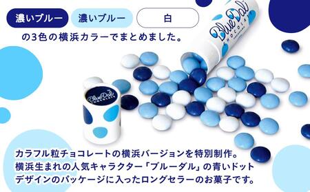 青と白の横浜限定 ブルーダルチョコレート(20本入)