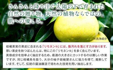 然-しかり- ぼんたんクレンジング