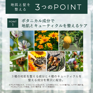 ナイトシャンプー＆トリートメントセット 各300mL｜ヘアケア 美髪 酒粕エキス配合 天然成分 美容｜人気 おすすめ 送料無料｜神奈川県 横浜市