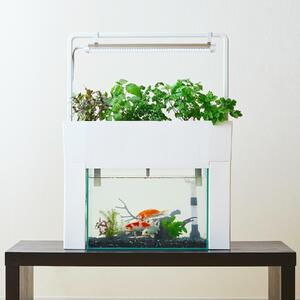 おさかな畑 アクアスプラウトSV 【ホワイト】 アクアポニックス 水耕栽培 キット(60HZ)