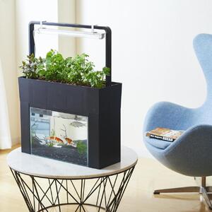 おさかな畑 アクアスプラウトSV 【ブラック】 アクアポニックス 水耕栽培 キット(60HZ)