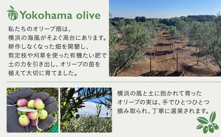 横浜オリーブ　The First　エクストラバージンオリーブオイル　100ml