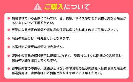 オートドライ ED-40KITTY