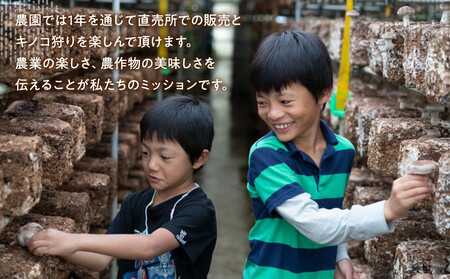 永島農園 きのこ狩り体験チケット 1人分