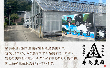 永島農園 きのこ狩り体験チケット 1人分