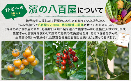 【濱の八百屋】やさいのえほんセット（8～12種類）