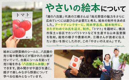 【濱の八百屋】やさいのえほんセット（8～12種類）