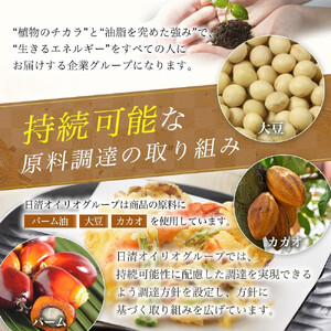 日清サラダ油8kgBIB