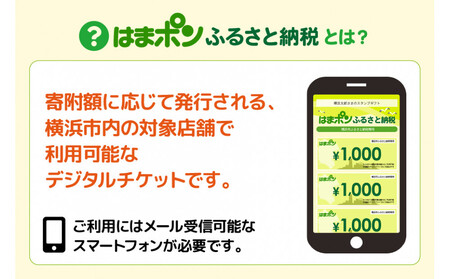はまポンふるさと納税チケット9000円分(1000円×9枚)