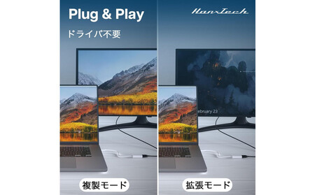 Hanx-Tech USBC DP1.2 変換アダプタ AOP0025