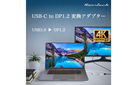 Hanx-Tech USBC DP1.2 変換アダプタ AOP0025
