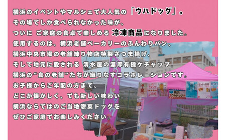 横浜ウハドッグ