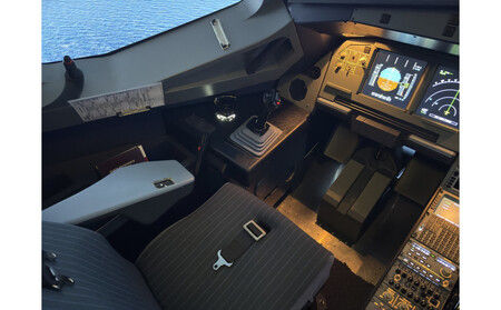 A320フライトシミュレーター90分操縦体験