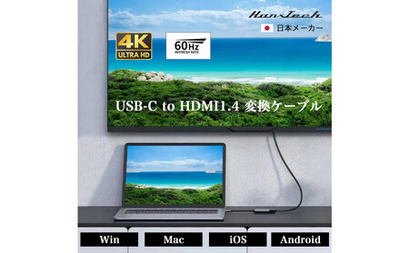 USBC HDMI1.4変換アダプタ HT-CH44GY