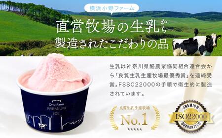 牧場直送ご当地アイスセット(5種10個入)〈小野ファーム〉