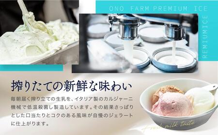 牧場直送ご当地アイスセット(5種10個入)〈小野ファーム〉