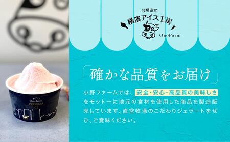 牧場直送ご当地アイスセット(5種10個入)〈小野ファーム〉