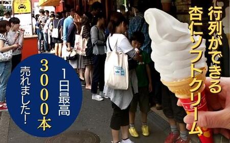 杏仁ソフトクリーム10個入り