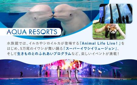 横浜・八景島シーパラダイス ワンデーパス（水族館4施設＋アトラクション）大人2名さま＋小中学生1名さま | 神奈川県横浜市 |  ふるさと納税サイト「ふるなび」