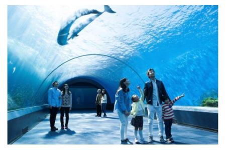 横浜・八景島シーパラダイス ワンデーパス（水族館4施設＋ ...