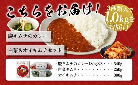 「慶」キムチのカレーと白菜＆オイキムチセット