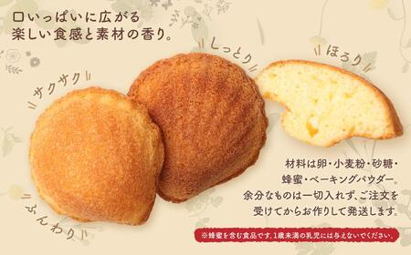 宮前区産 新鮮卵のはちみつマドレーヌ 8個入り