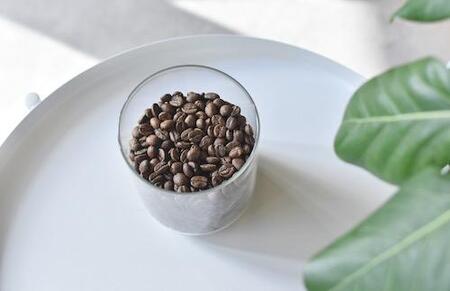 Roast Design Coffee 自家焙煎コーヒー豆3種セット