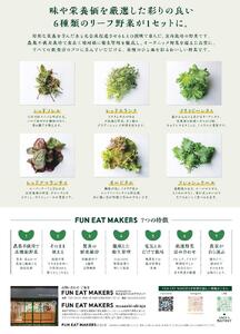 ミシュランシェフ御用達 鮮度2週間 無農薬6種リーフ300g