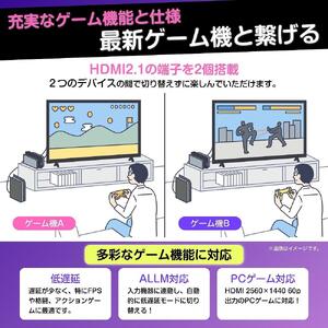 55インチ 4K液晶スマートTV 55E6K | ハイセンスジャパン ハイセンス TV テレビ 液晶テレビ 4K HISENSE | 神奈川県川崎市  | ふるさと納税サイト「ふるなび」