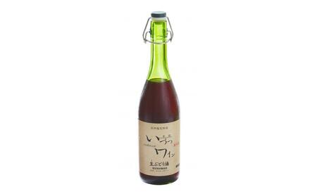 酸化防止剤無添加 井筒生ワイン 赤・白 720ml 2本セット 要冷蔵 ワイン