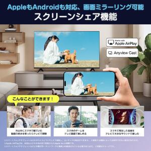 ハイセンス(24A4N)  24インチ ハイビジョン液晶スマートテレビ