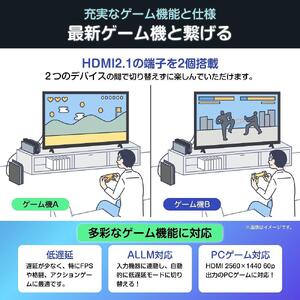 ハイセンス(75E6N) 75インチ 4K液晶スマートテレビ