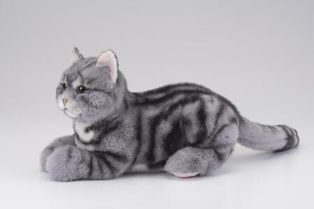 川崎市のロボットメーカーが作る、シニア向けペットの代理ロボット！なでなでねこちゃんEXシリーズ　（アメショー）