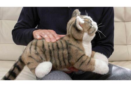 川崎市のロボットメーカーが作る、シニア向けペットの代理ロボット！なでなでねこちゃんEXシリーズ（キジトラ）