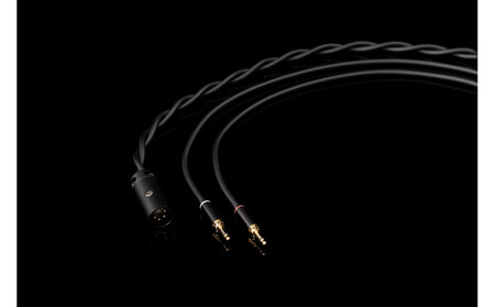 AFDS平面磁界型ヘッドホン final D8000 DC ヘッドホン