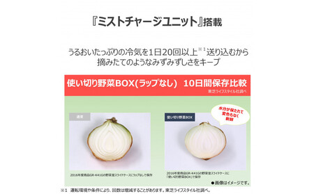 東芝 冷蔵庫用 使い切りBOX GR-FVB1 容量2.0L