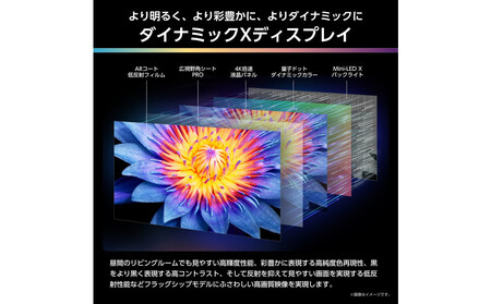 Hisense ハイセンス 3年保証【設置費込み】75V型 75U9R 4K Mini LED 量子ドット 5.1.2ch ダブル録画 チューナー内蔵 ゲームモード Pro ネット動画 YouTube Netflix スマート 2画面 Alexa対応 AirPlay2 液晶 テレビ TV 2025年モデル 壁掛け 人気 おすすめ 家電 送料無料