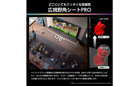 Hisense ハイセンス 3年保証【設置費込み】75V型 75U9R 4K Mini LED 量子ドット 5.1.2ch ダブル録画 チューナー内蔵 ゲームモード Pro ネット動画 YouTube Netflix スマート 2画面 Alexa対応 AirPlay2 液晶 テレビ TV 2025年モデル 壁掛け 人気 おすすめ 家電 送料無料