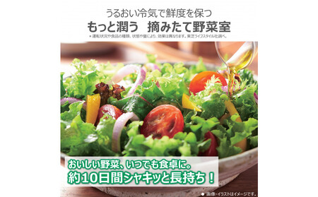 東芝　冷蔵庫【標準設置費込み】　461L　6ドア　両開き　冷凍冷蔵庫　GR-Y460FZ(ZH)