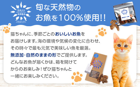 お魚だよ全員集合　季節のアソートセット 3,000円セット　ネコちゃん用｜ペット おやつ 猫 ペットフード