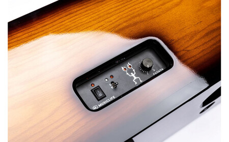 MUSICLIFE ML-2 -sunburst-