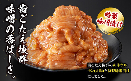 <訳アリ>和牛ホルモン(大腸) 特製味噌漬け 1.2kg(300g×4)【2026年7月発送】