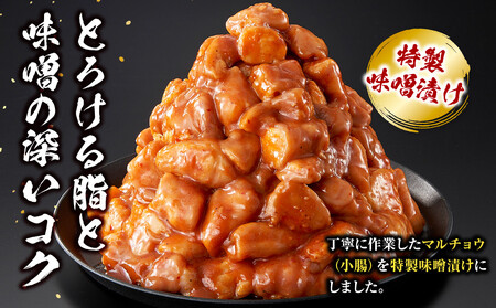 <訳アリ>牛マルチョウ 特製味噌漬け 1.5kg(300g×5)【順次発送】