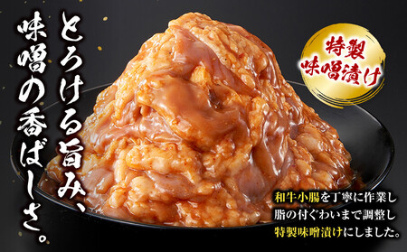 <訳アリ>和牛トロホルモン 特製味噌漬け 0.9kg(300g×3)【順次発送】