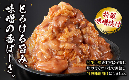 ＜訳アリ＞和牛トロホルモン　特製味噌漬け　1.2kg(300g×4）【2026年2月発送】