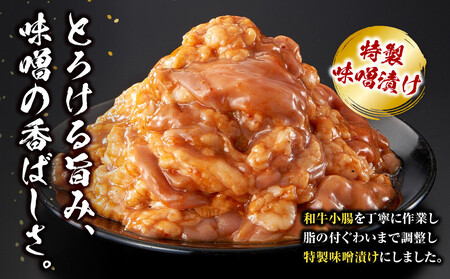 ＜訳アリ＞和牛トロホルモン　特製味噌漬け　0.3kg(300g×1）【2026年5月発送】