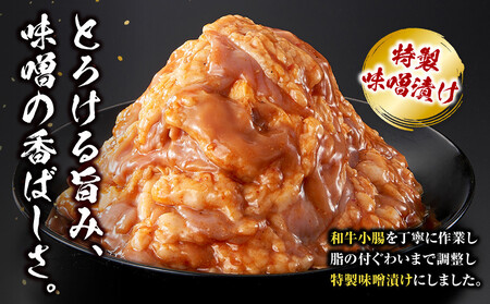 ＜訳アリ＞和牛トロホルモン　特製味噌漬け　0.9kg(300g×3）【2026年8月発送】